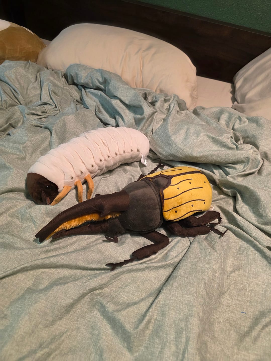 Customer photo review of Hercules Beetles Soft Stuffed Plush Toy