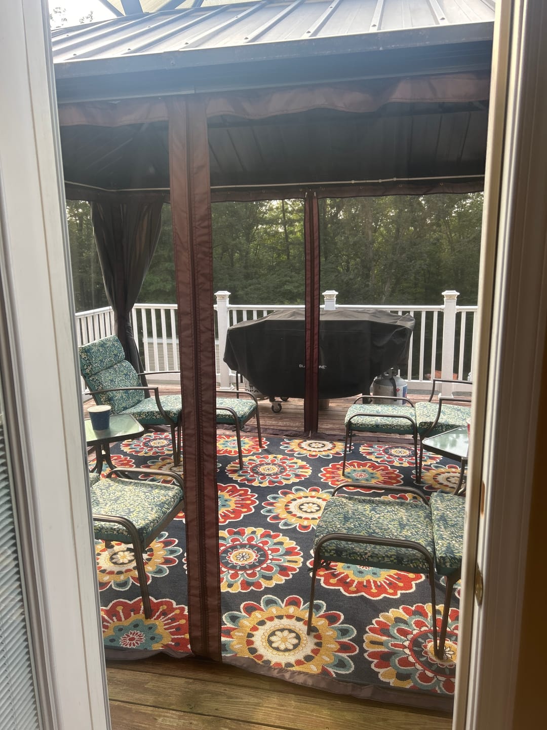 Customer photo review of Shade N' Shelters 10' x 12' Granite Peak Hardtop Gazebo Mosquito Netting with Hooks