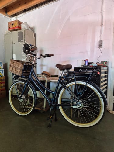 Customer photo review of E-Cargo N7