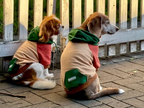Customer photo review of Ranger Dog Hoodie