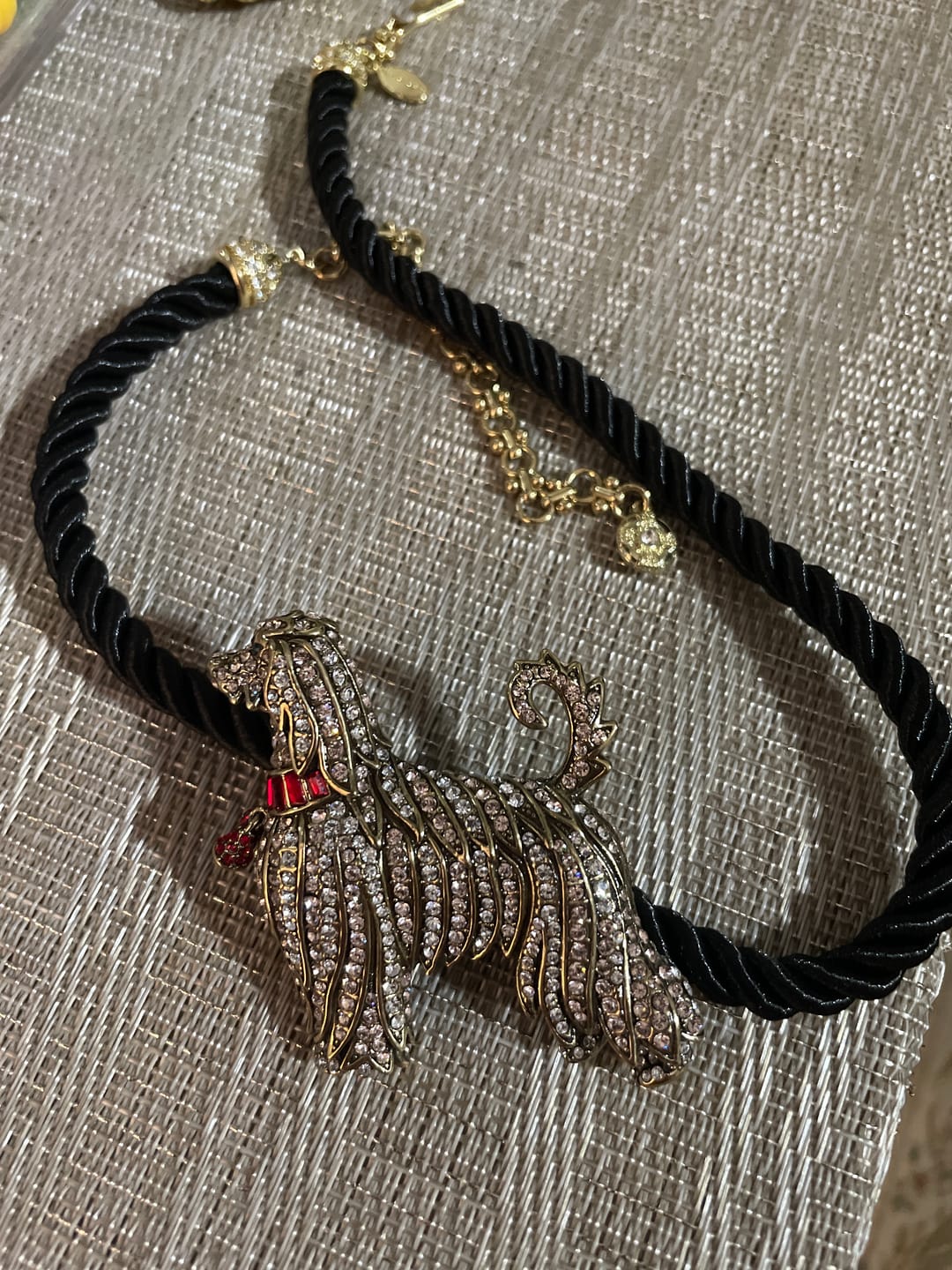 Customer photo review of Heidi Daus®"Elegant Essentials" Pin Enhancer Cord Necklace