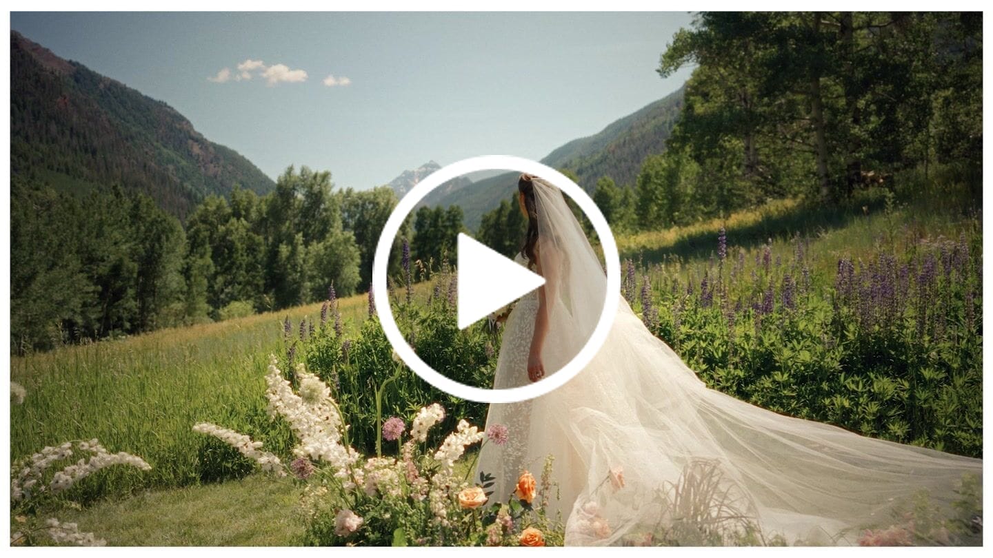 Customer video review of Color LUTs