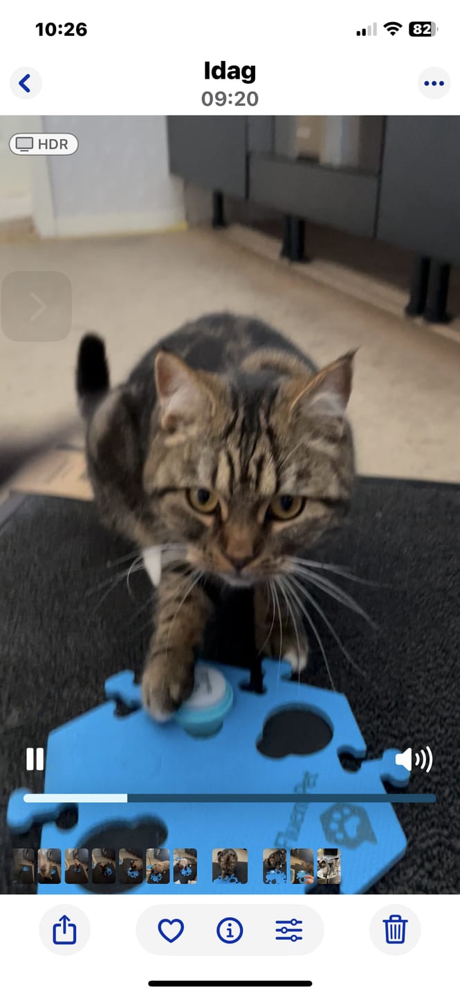 Customer photo review of Connect Key Vocab Kit with Base