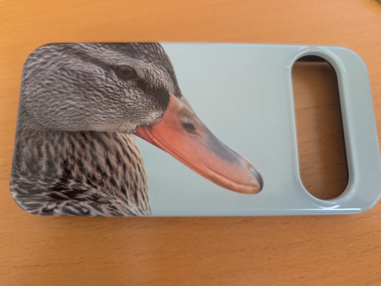 Customer photo review of Custom - Google Pixel 9