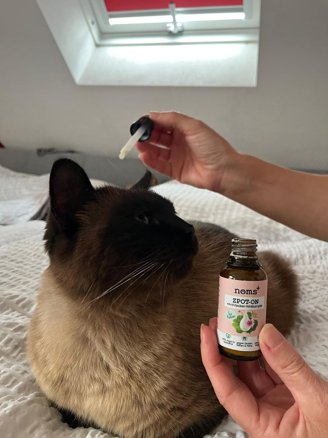Customer photo review of Zpot-on für Katzen gegen Zecken, Flöhe, Milben & Mücken [Jahresvorrat]