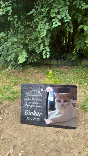 Customer photo review of Katzen Gedenktafel mit Foto & Spruch (UV- & Wetterfest)