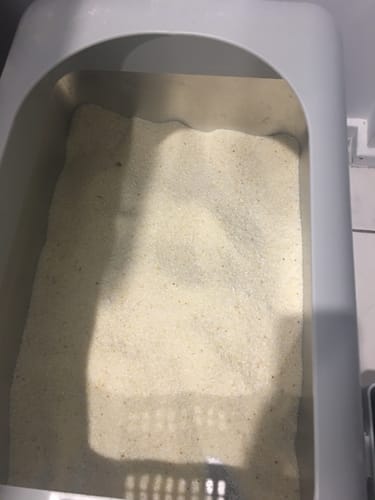 Customer photo review of 3 Month Supply - 2 Cats