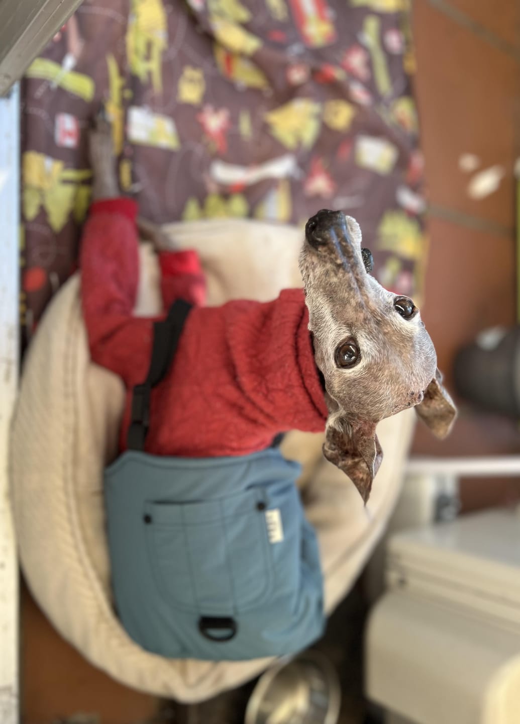 Customer photo review of Winter Workwear Jumpsuit