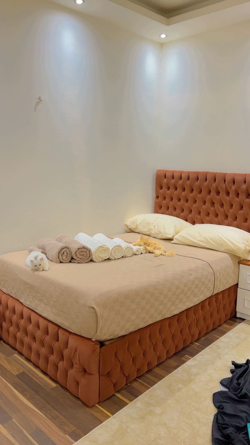 Customer photo review of Percale Fitted Sheet
