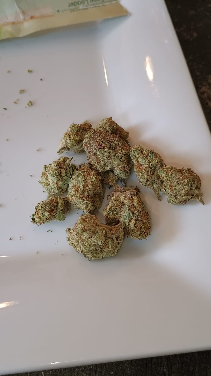 Customer photo review of Panama Red