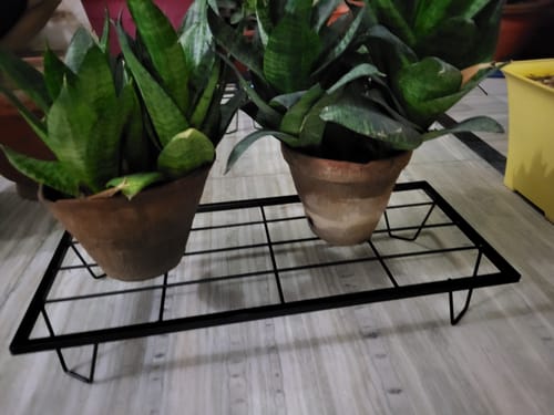 Customer photo review of United Crafts Indoor & Outdoor Rectangle Heavy Flower Pot Stand