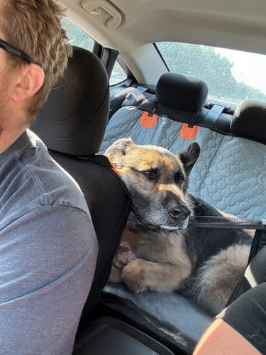 Customer photo review of Hard Bottom Seat Cover