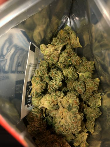 Customer photo review of Value Indoor Smalls