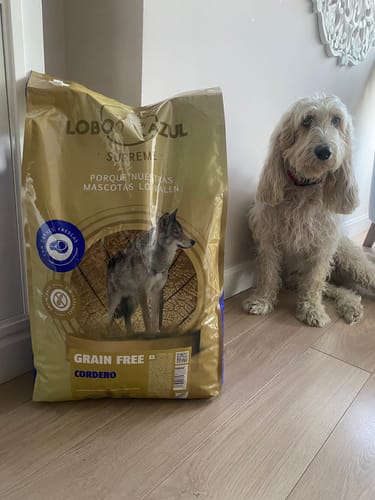 Customer photo review of Grain Free Cordero