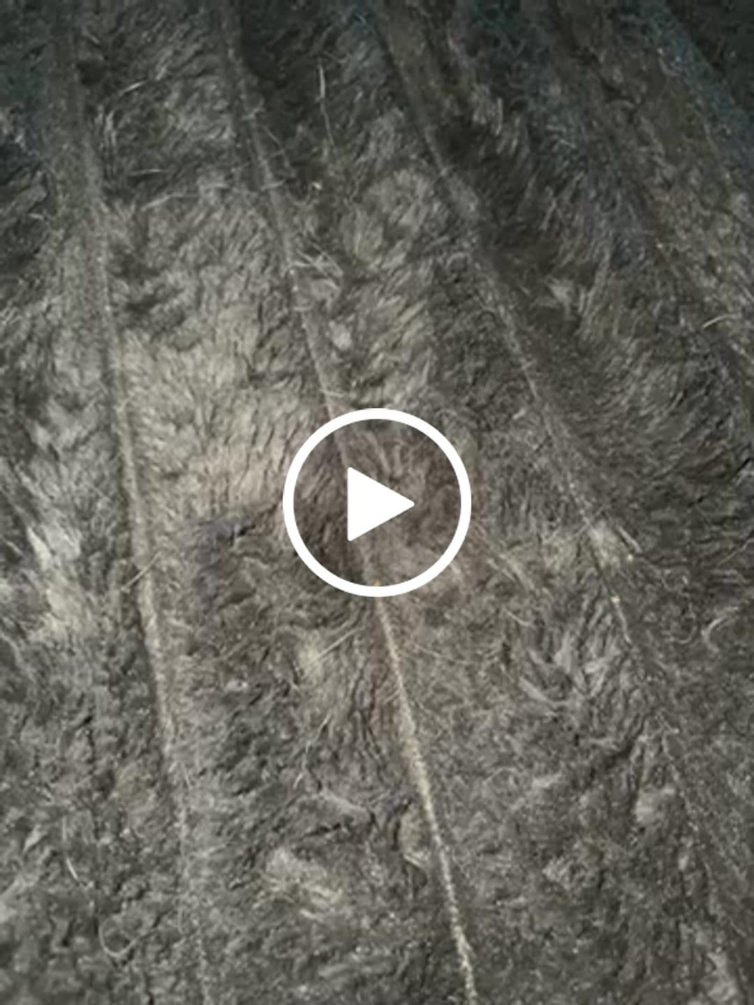 Customer video review of Brushless Motor Spare Part for RC Car