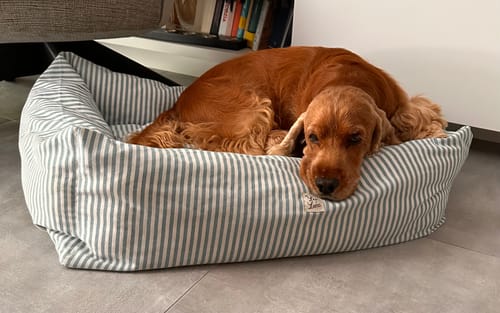 Customer photo review of Cover Divanetto Cotone Righe Strette Ottanio