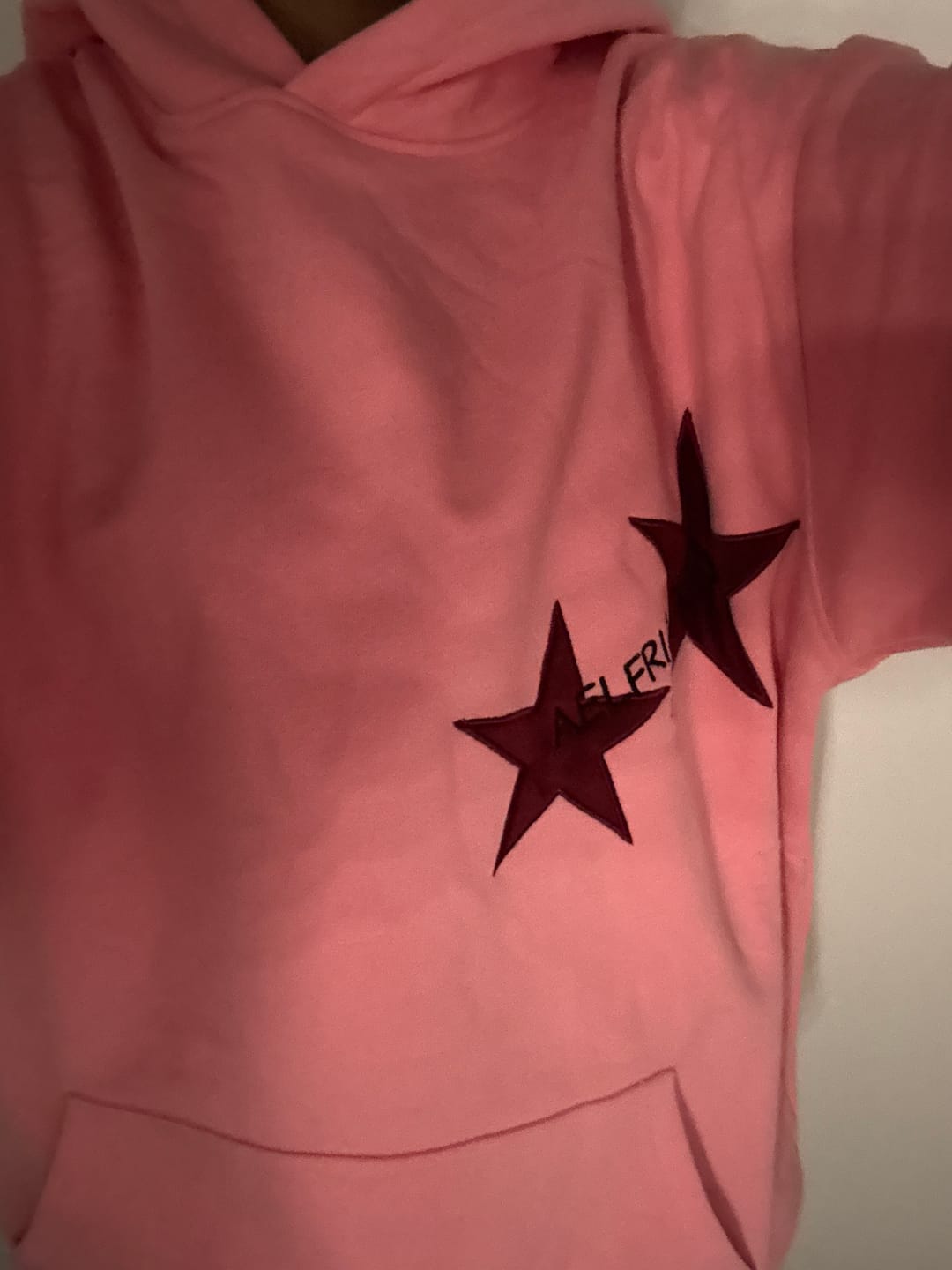 Customer photo review of Aelfric Eden Star Color Contrast Hoodie