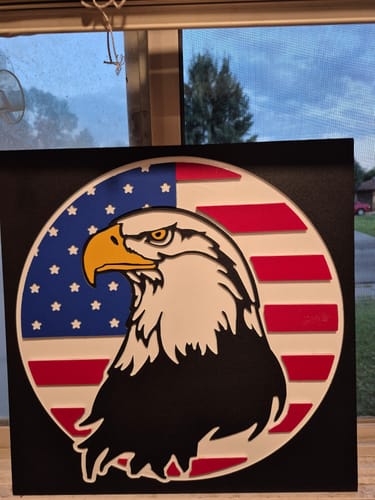 Customer photo review of July American Flag Eagle Kit - HDPE
