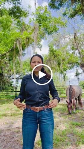 Customer video review of The Lainey