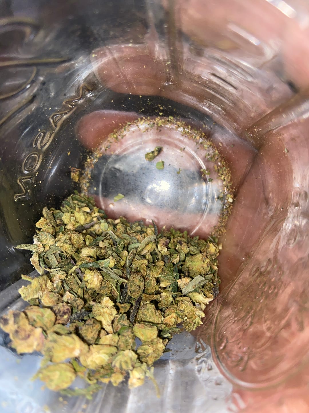 Customer photo review of Indoor Micros