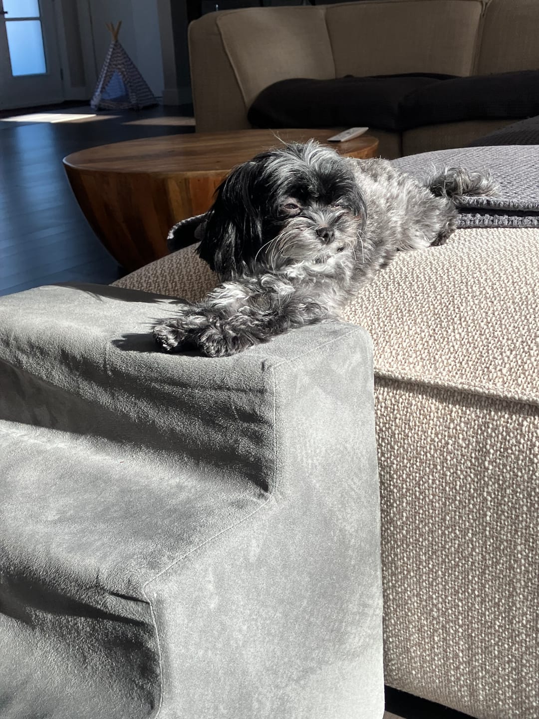 Customer photo review of Vrac Nature's Own - Bâtonnets oesophage de boeuf pour chien