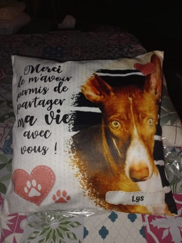 Customer photo review of Merci - Coussin personnalisé