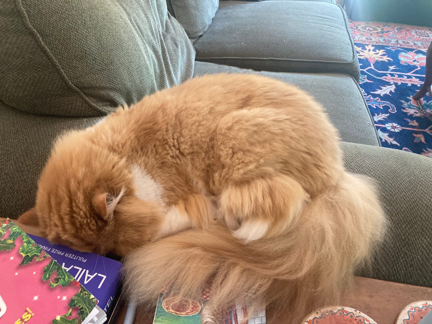 Customer photo review of Royal Canin Veterinary Diet - Urinary SO + Hydrolyzed Protein Dry Cat Food