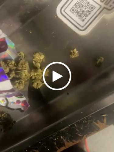 Customer video review of Greenhouse Smalls