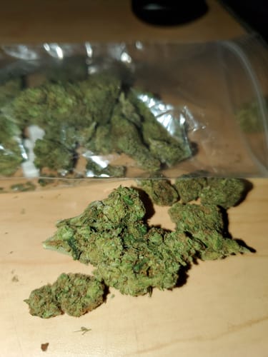 Customer photo review of Blue Guava