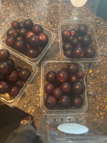 Customer photo review of Grapes With Seed (Muscadine Red/Green)***Pre Order***