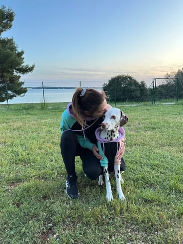 Customer photo review of Color Block Dog Hoodies