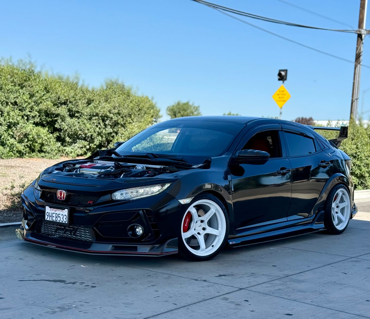 Customer photo review of DevSport Side Skirt Splitters (2017-2021 Honda Civic Type-R)