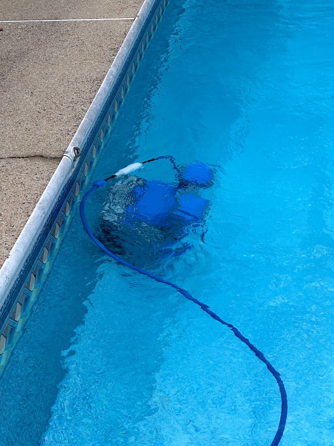 Customer photo review of Maytronics Dolphin M400 Robotic Pool Cleaner