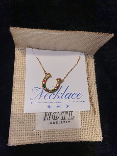Customer photo review of Lady Luck Horseshoe necklace