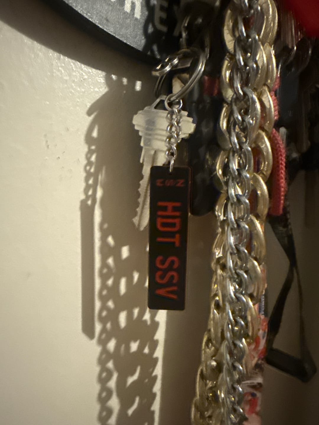 Customer photo review of NSW Colour on White Licence Plate Custom Keychain