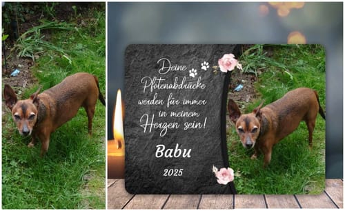 Customer photo review of Hunde Gedenktafel mit Foto & Spruch (UV- & Wetterfest)