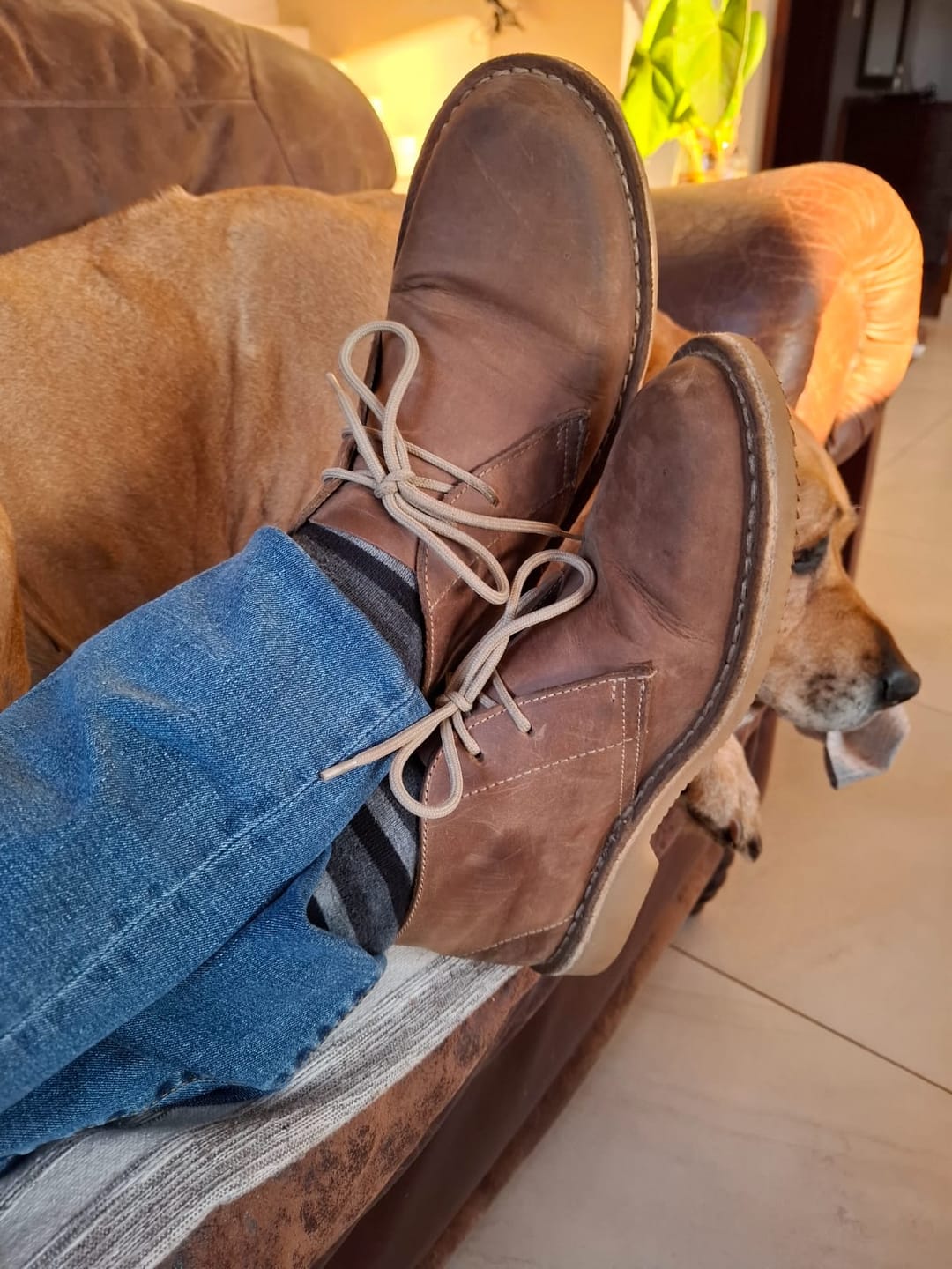 Customer photo review of Heritage Origin (Crepe Sole & San Diago Upper)