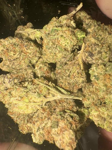 Customer photo review of LCG Runtz Mediums - Indoor 28 grams (Mediums) - Hybrid