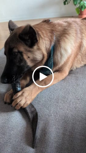 Customer video review of Snack'It - Gedehorn