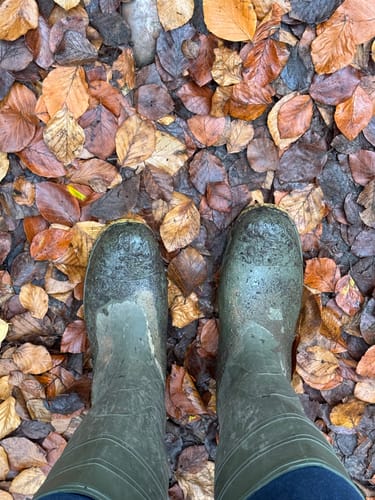 Customer photo review of Universal Wellington