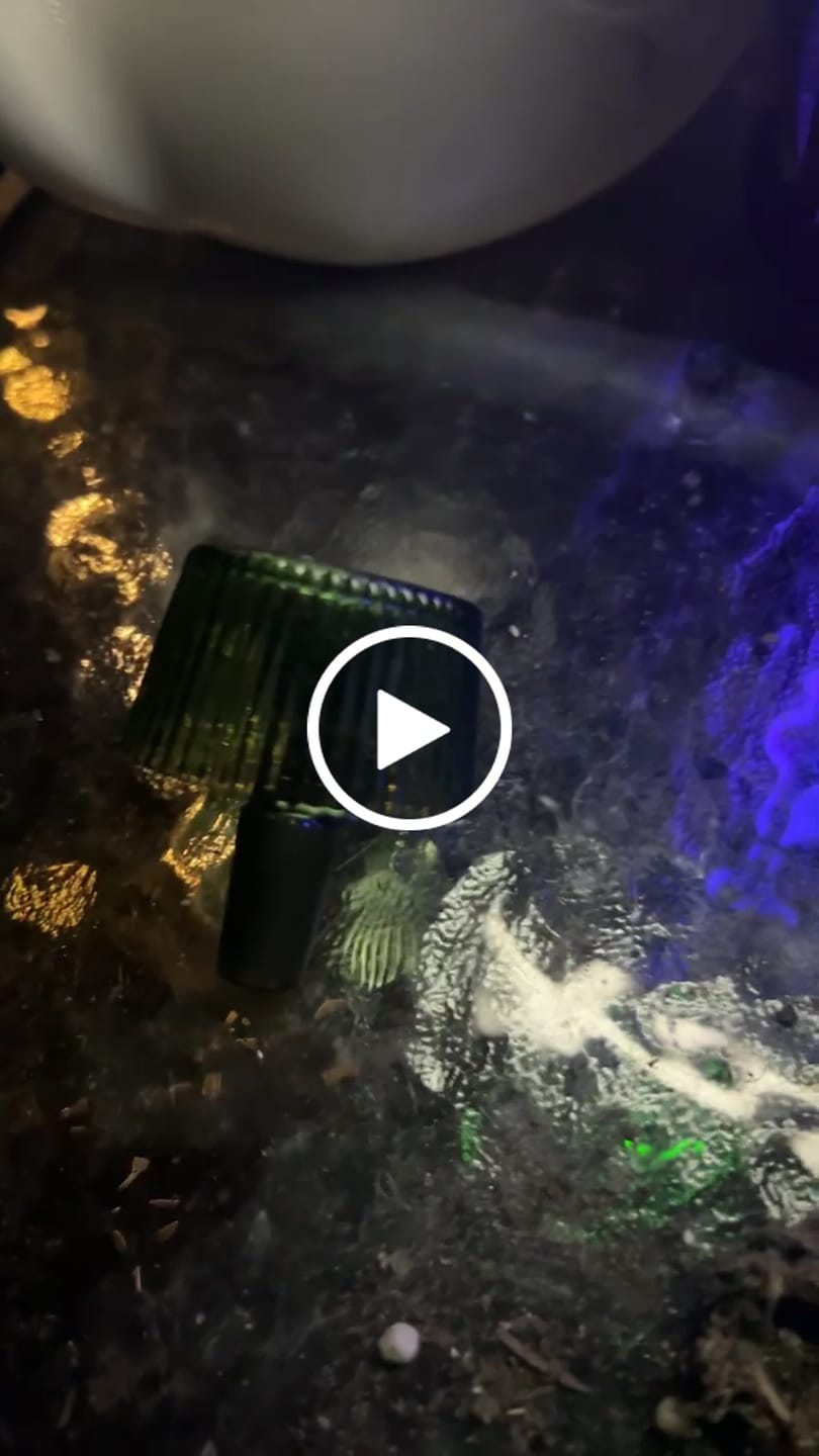 Customer video review of Deco Bowl