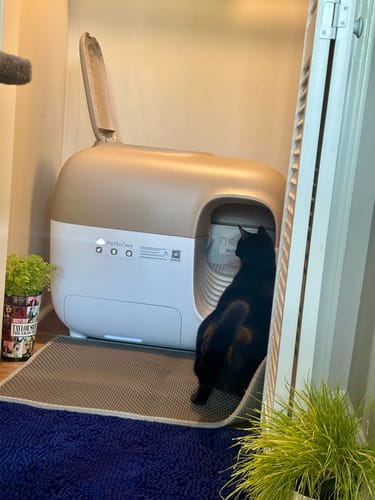 Customer photo review of Self-Cleaning Litter Box