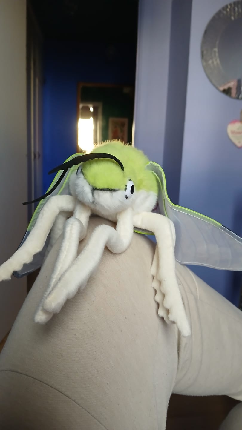 Customer photo review of Silk Moth Soft Stuffed Plush Toy