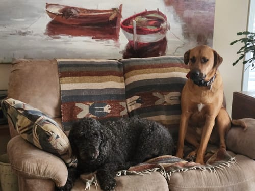 Customer photo review of DA-01™ Daily All-in-One Complete Care