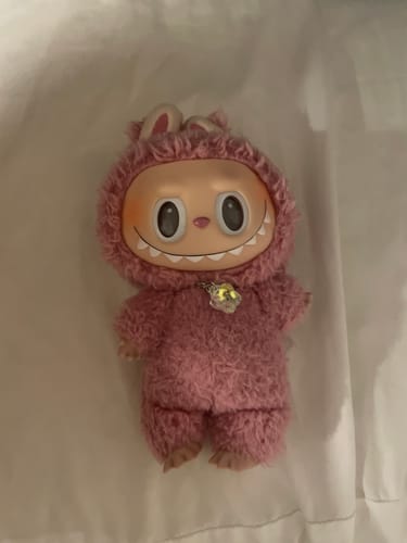 Customer photo review of Pop Mart Labubu The Monsters Tasty Macarons Vinyl Plush Pendant (Single Blind Box)