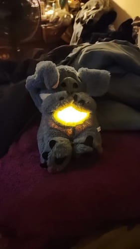 Customer photo review of Peluche Que Respira