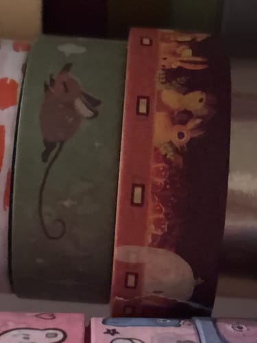 Customer photo review of Washi Tape - Green