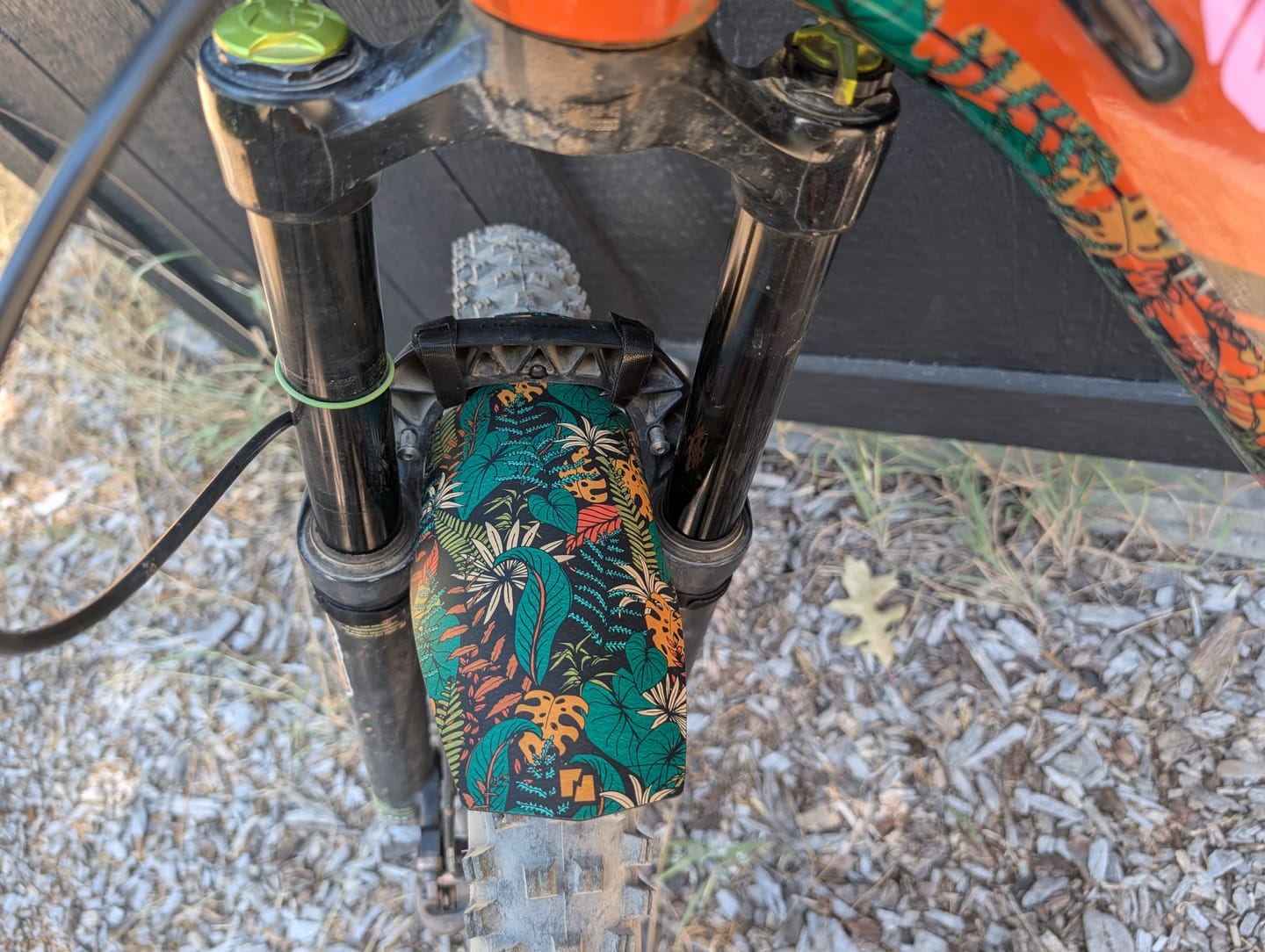 Customer photo review of Botanic Revival Fender
