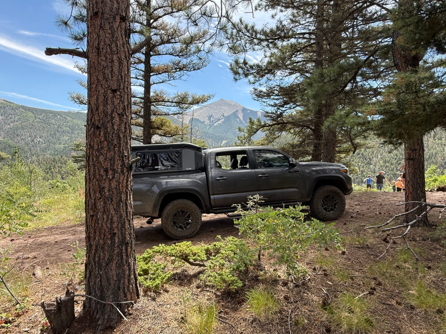 Customer photo review of MID-SHORT MR50