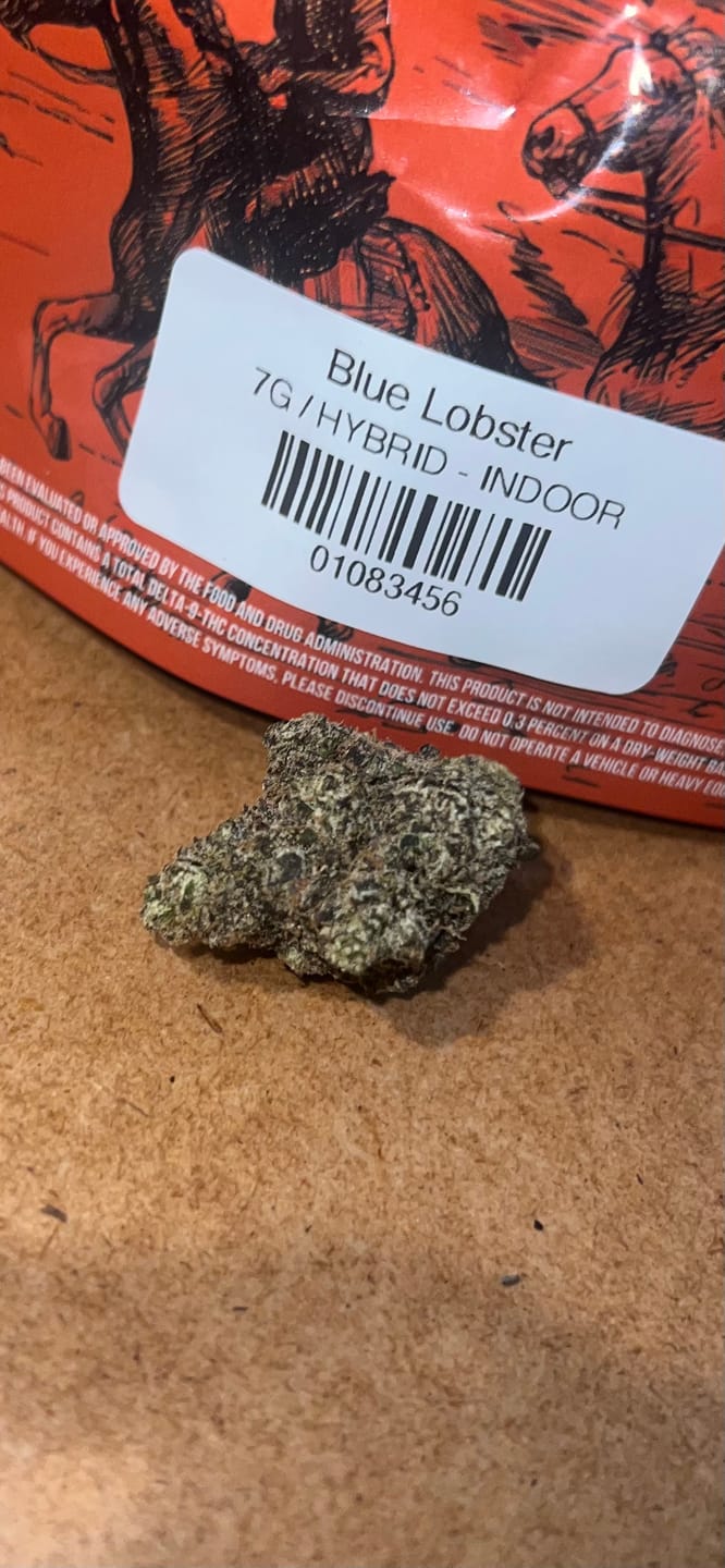 Customer photo review of Blue Lobster